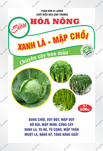 XANH LÁ - MẬP CHỒI